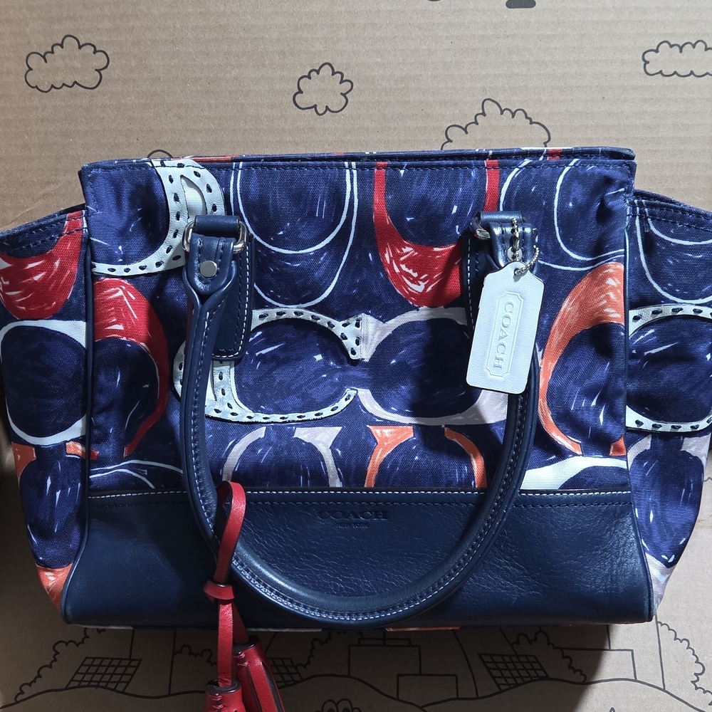 Coach Multicolor Tote Bag